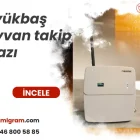 Büyükbaş hayvan takip cihazı