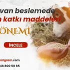 Hayvan besleme de yem katkı maddelerinin önemi