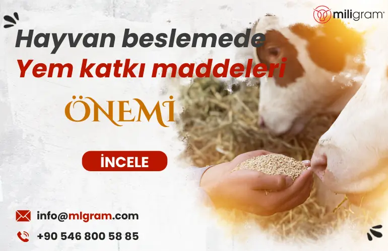 Hayvan besleme de yem katkı maddelerinin önemi