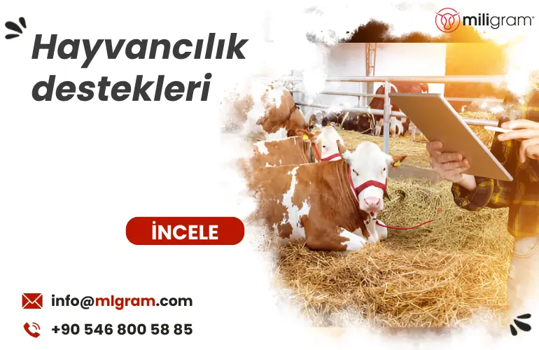 Hayvancılık destekleri