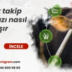 İnek kızgınlık takip cihazları nasıl çalışır