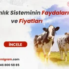 Kizginlik sisteminin faydaları ve fiyatlari