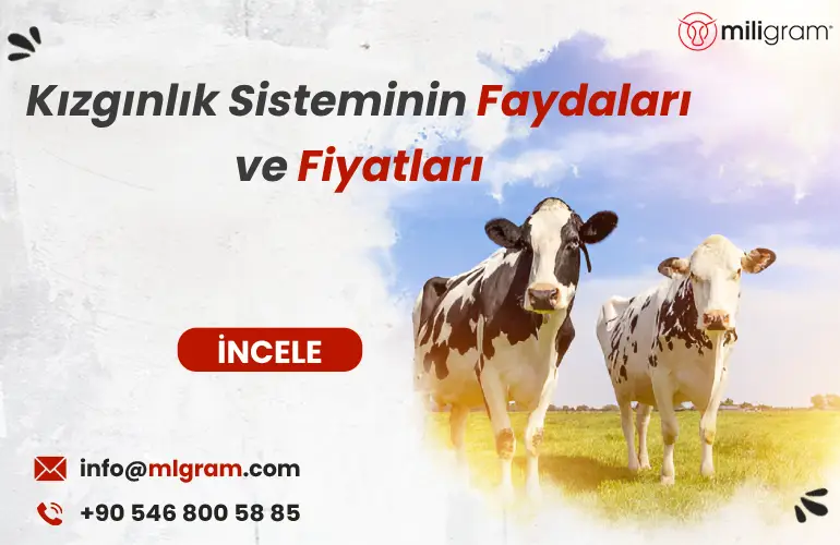 Kizginlik sisteminin faydaları ve fiyatlari