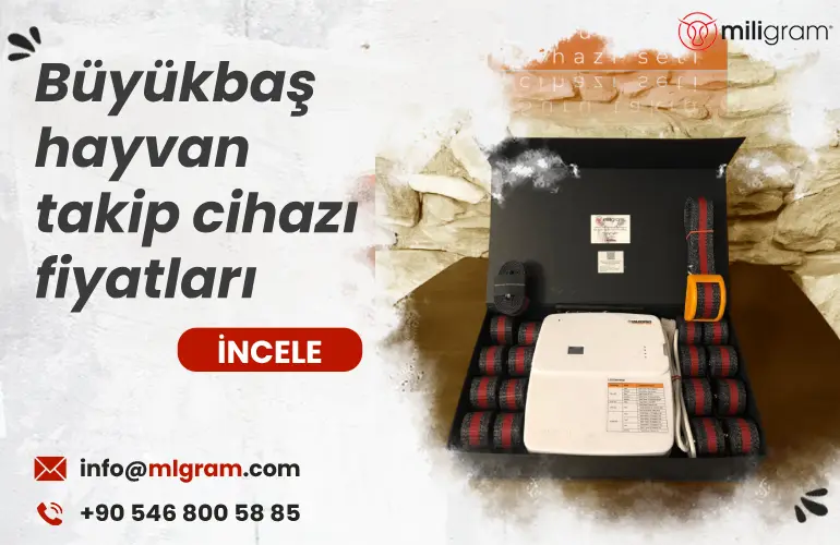 Büyükbaş hayvan takip cihazı fiyatları