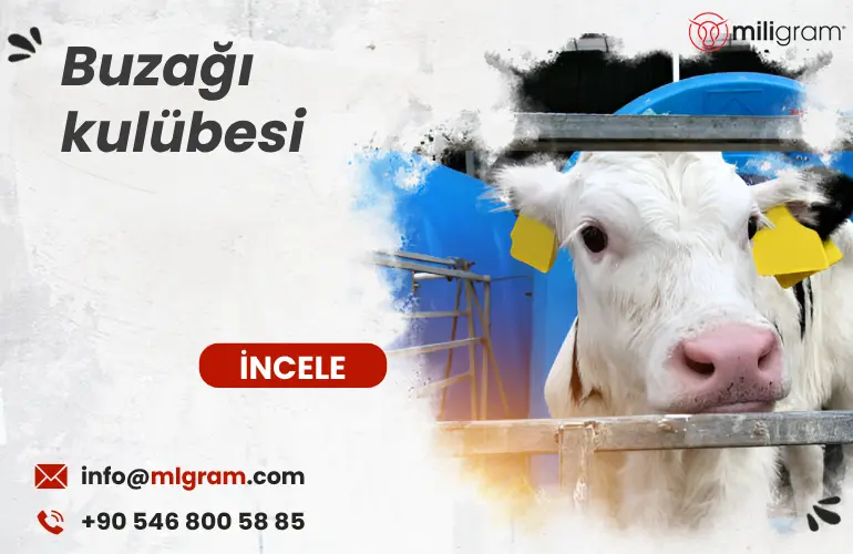 buzağı kulübesi