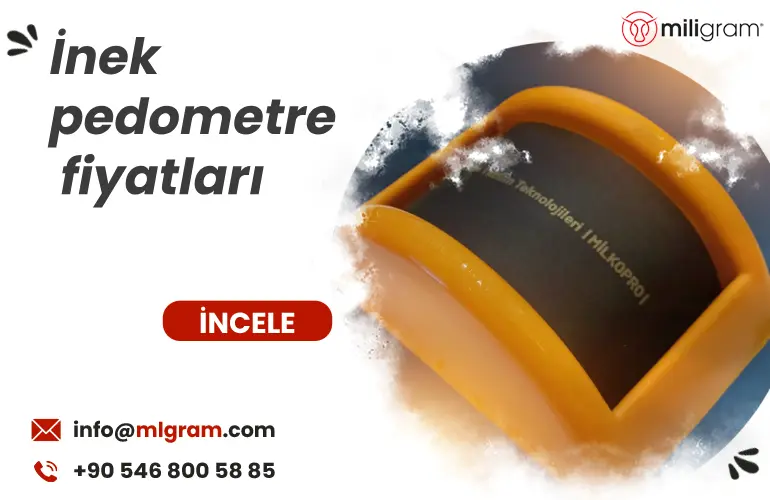 İnek pedometre fiyatları