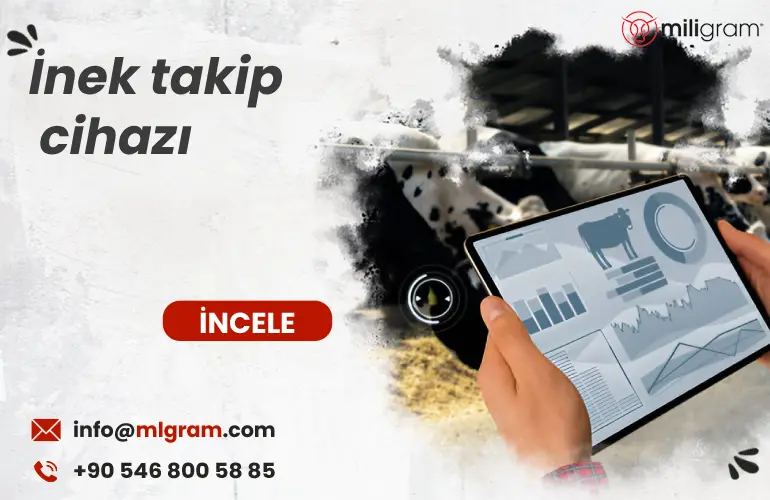 İnek takip cihazı