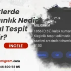 İneklerde Kızgınlık Nedir? Nasıl Tespit Edilir?