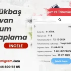 Büyükbaş Hayvan Doğum Hesaplama-Miligram sürü yönetimi programı