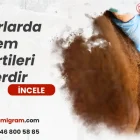 Sığırlarda Verem Belirtileri Nelerdir