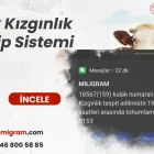 İnek Kızgınlık Takip Sistemi