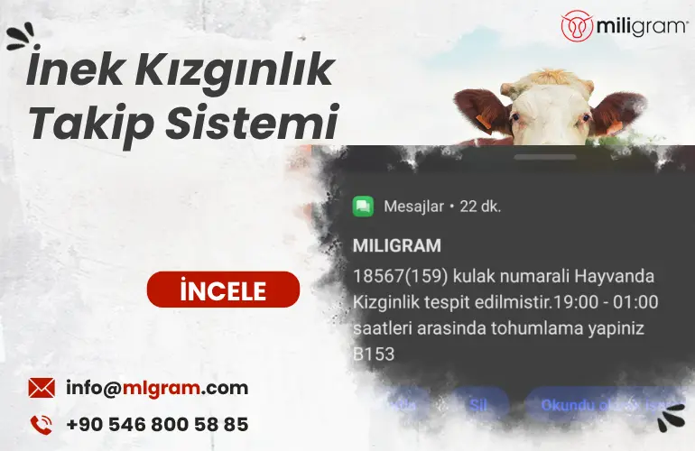 İnek Kızgınlık Takip Sistemi