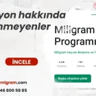 Rasyon hakkında bilinmeyenler