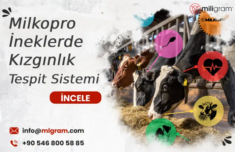 Milkopro İneklerde Kızgınlık Tespit Sistemi