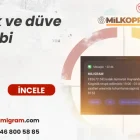 inek ve gebe düve takibi