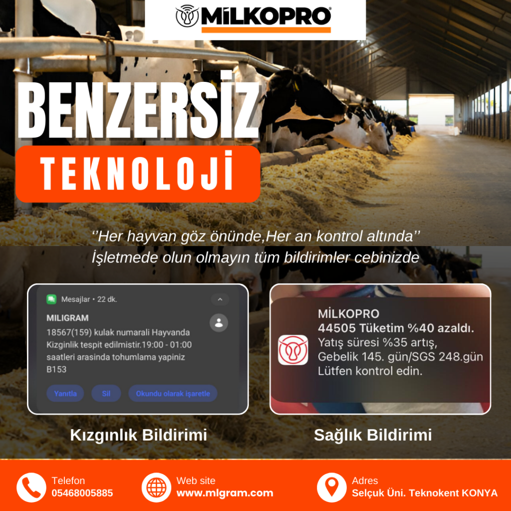 Kızgınlık nedir?