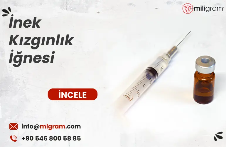 İnek Kızgınlık İğnesi