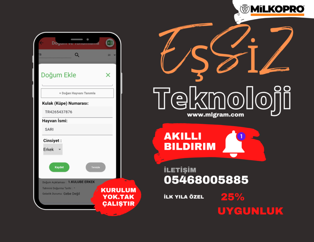 İnekler Neden Döl Tutmaz