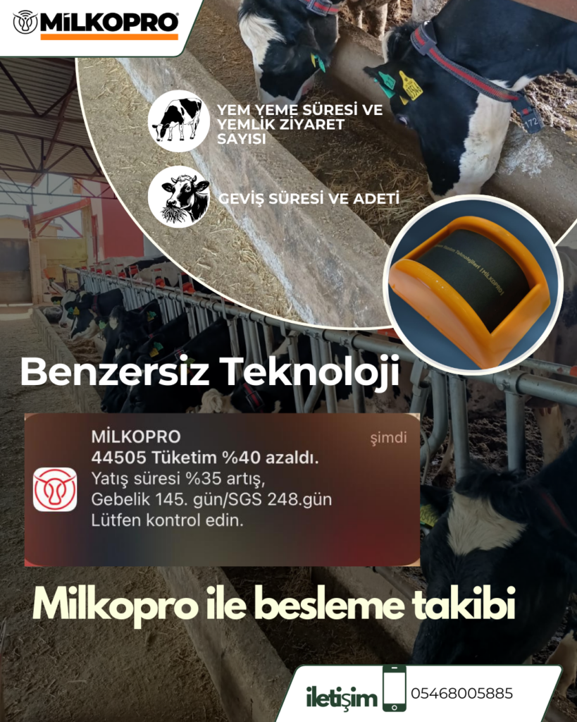 Laktasyon Nedir?
