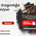 İnek Kızgınlığa Gelmiyor