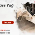 Bypass Yağ