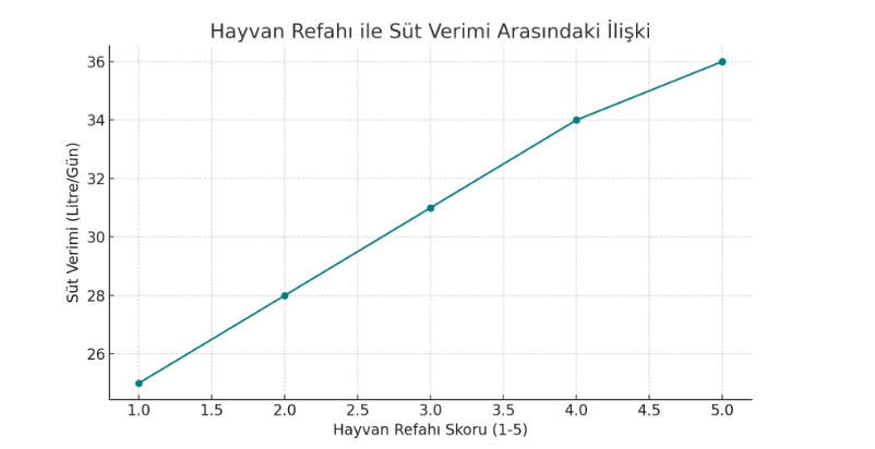 İneklerde Süt Verimini Artırmak İçin Neler Yapmalıyız?