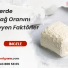 İneklerde Süt Yağ Oranını Etkileyen Faktörler