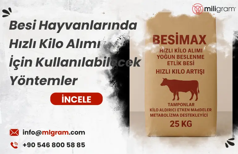 Besi Hayvanlarında Hızlı Kilo Alımı İçin Kullanılabilecek Yöntemler
