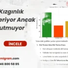 İnek Kızgınlık Gösteriyor Ancak Döl Tutmuyor