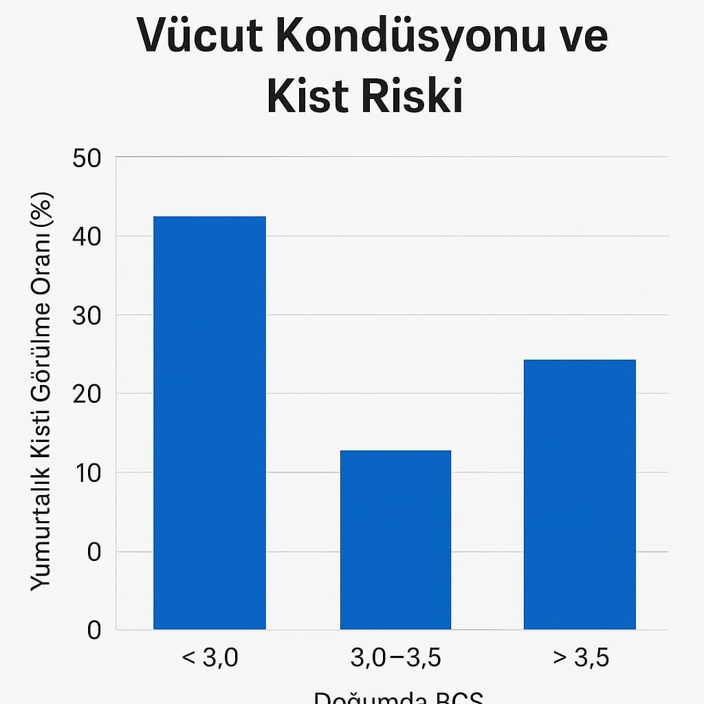 İneklerde Yumurtalık Kisti