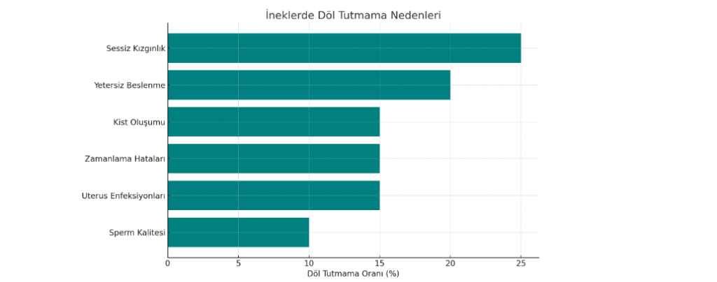 İnek Kızgınlık Gösteriyor Ancak Döl Tutmuyor