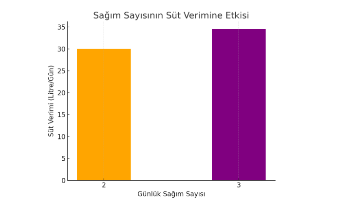 İneklerin Süt Verimini Artırmak İçin Neler Yapmalıyız?
