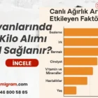 Besi Hayvanlarında Hızlı Kilo Alımı Nasıl Sağlanır?