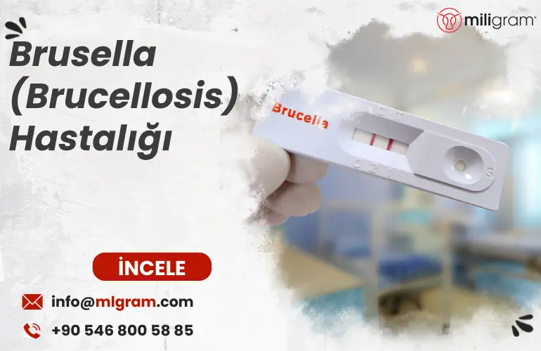 Brusella (Brucellosis) Hastalığı