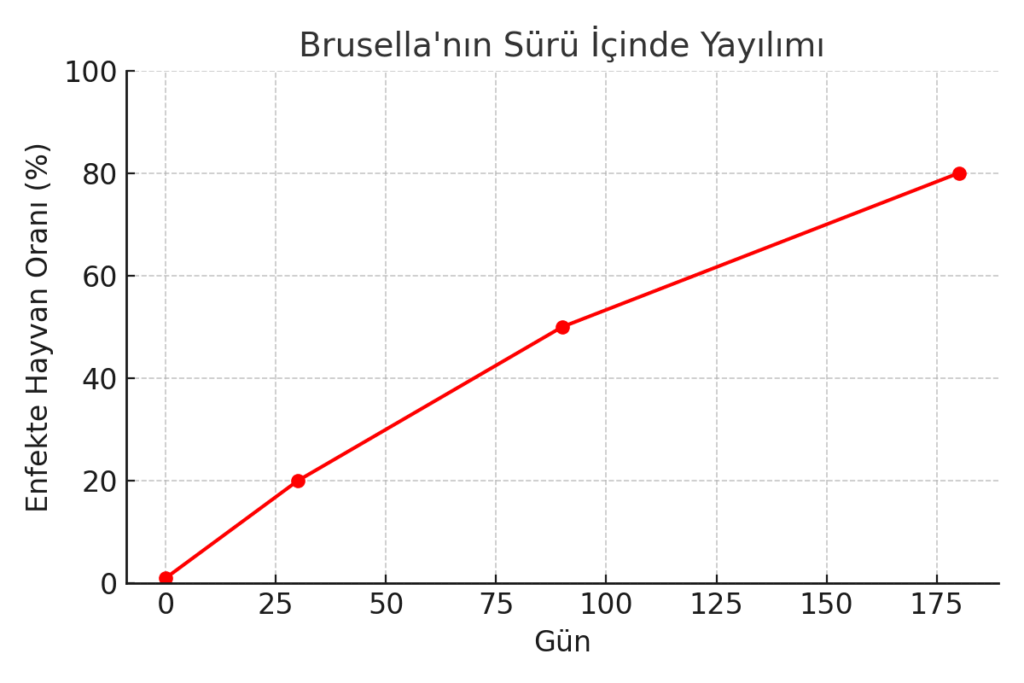 Brusella (Brucellosis) Hastalığı