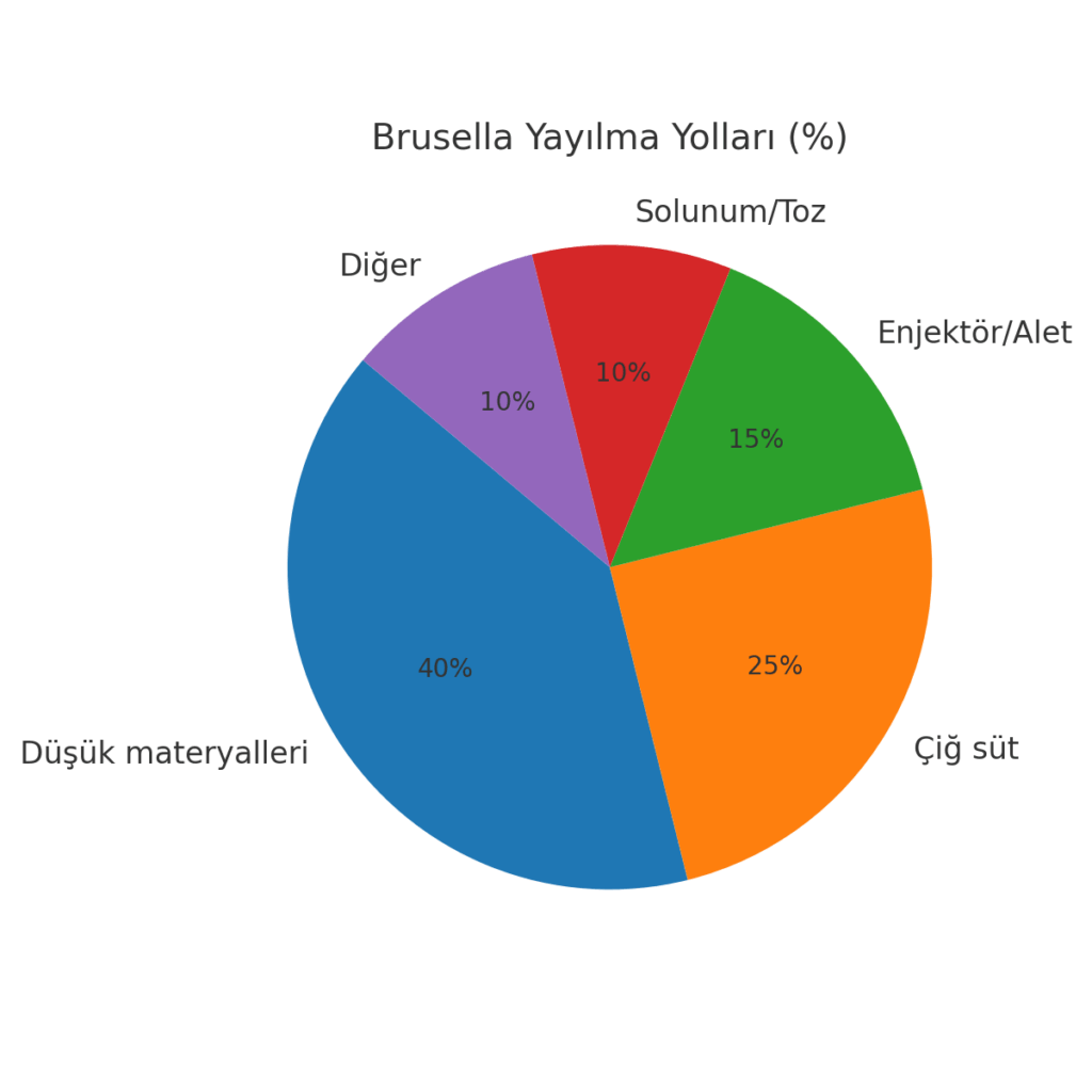 Brusella (Brucellosis) Hastalığı