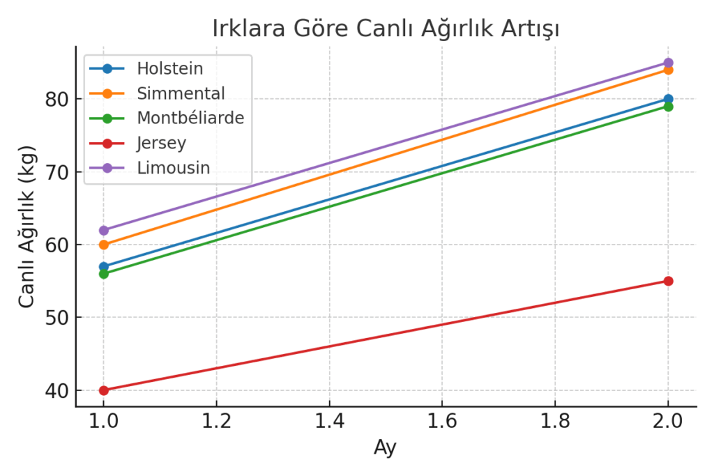 Buzağılar ne zaman sütten kesilmeli