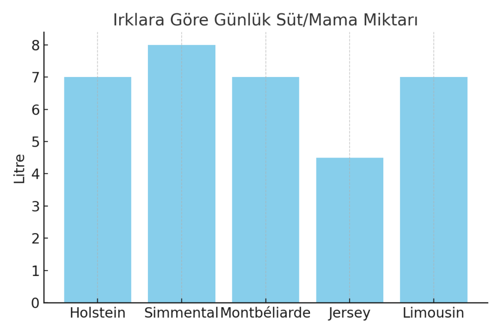Buzağılar ne zaman sütten kesilmeli
