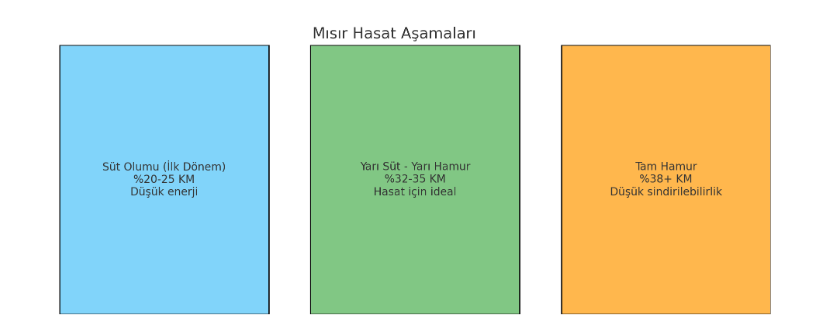 Mısır Silajı