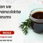 Katran ve Hayvancılıkta Kullanımı