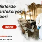 Çiftliklerde Dezenfeksiyon Rehberi