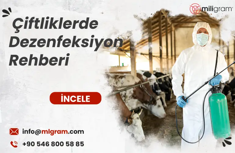Çiftliklerde Dezenfeksiyon Rehberi