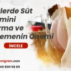 İneklerde Süt Verimini Artırma ve Beslemenin Önemi