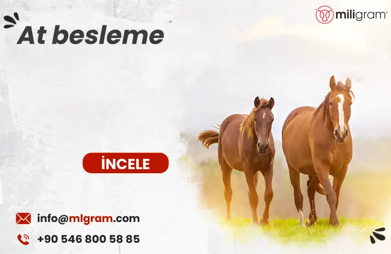At Besleme