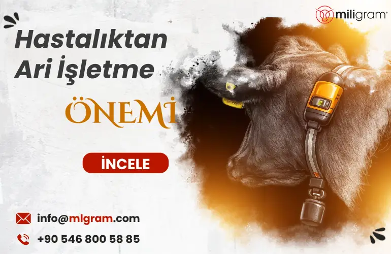 Hastalıktan Ari İşletme 