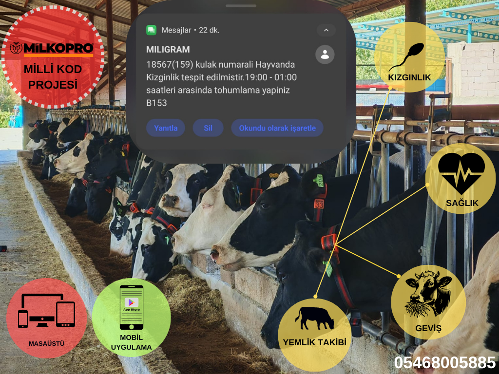 Hayvancılık İşletme Yönetimi