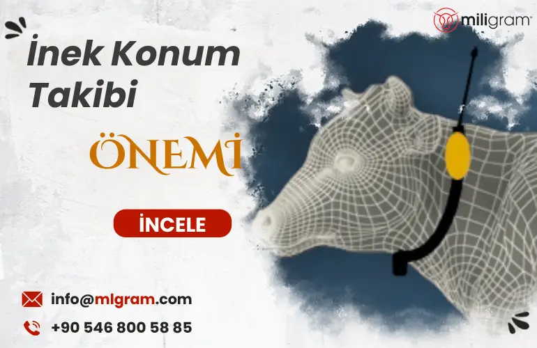 İnek Konum Takibi-GPS