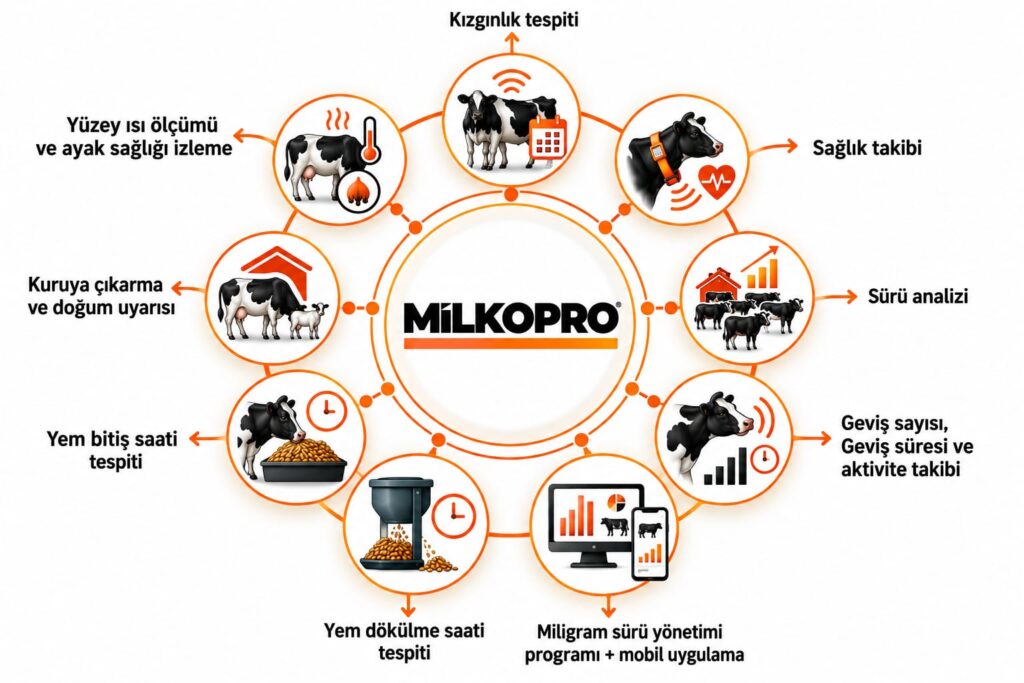 kızgınlık tespiti