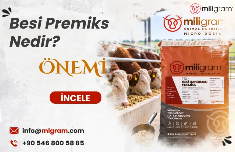 Besi Premiks Nedir Büyükbaş Beside Kullanımı ve Faydaları