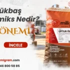 Büyükbaş Premiks Nedir?